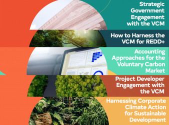 Five discussion papers reflecting supply-side perspectives on how the voluntary carbon market can drive ambitious climate action