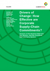 Drivers of Change: How Effective are Corporate Supply-Chain Commitments?