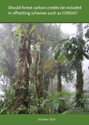 Should forest carbon credits be included in offsetting schemes such as CORSIA? 