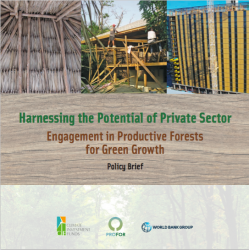 Harnessing the Potential of Private Sector  Engagement in Productive Forests for Green Growth