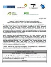 Impact Assessment of LULUCF and Forest-Based Carbon Credits: A Response to DG Environment&#039;s Staff Working Document