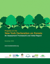 Progress on the New York Declaration on Forests - An Assessment Framework and Initial Report