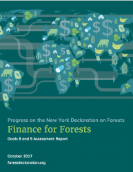 Progress on the New York Declaration on Forests: Finance for Forests - Goals 8 and 9 Assessment Report