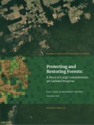 NYDF 2019 Progress Report: Protecting and Restoring Forests