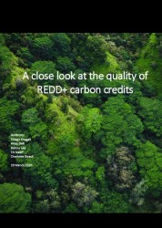 A close look at the quality of REDD+ carbon credits