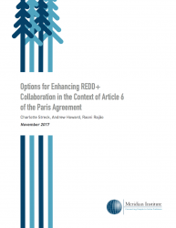 Options for Enhancing REDD+ Collaboration in the Context of Article 6 of the Paris Agreement