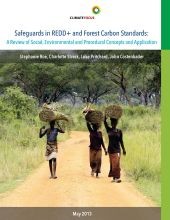 Safeguards in REDD+ and Forest Carbon Standards: A Review of Social, Environmental and Procedural Concepts and Applications