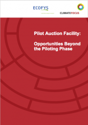 Pilot Auction Facility: Opportunities Beyond the Piloting Phase