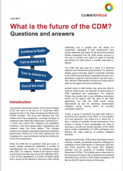 What is the future of the CDM? Questions and answers