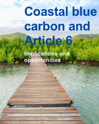 Coastal blue carbon and Article 6: Implications and opportunities