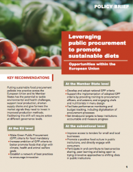 Policy Brief: Leveraging public procurement to promote sustainable diets in the European Union