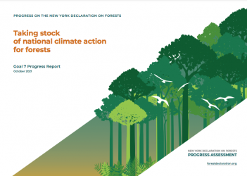 Taking stock of national climate action for forests: Goal 7 Progress Report