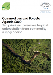 The Commodities and Forests Agenda 2020: Ten Priorities to Remove Tropical Deforestation from Commodity Supply Chains