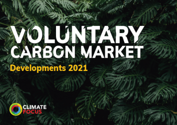 Voluntary Carbon Market Dashboard Developments 2021