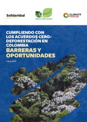 Complying with zero-deforestation agreements in Colombia: Barriers and opportunities