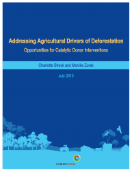 Addressing Agricultural Drivers of Deforestation: Opportunities for Catalytic Donor Interventions