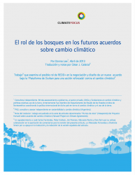 El rol de los bosques en los futuros acuerdos sobre cambio climático: The Role of Forests in a Future Climate Change Agreement