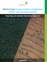 Reference Levels: Concepts, Functions, and Application in REDD+ and Forest Carbon Standards