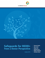 Safeguards for REDD+ from a Donor Perspective