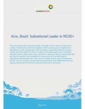 Acre, Brazil: Subnational Leader in REDD+