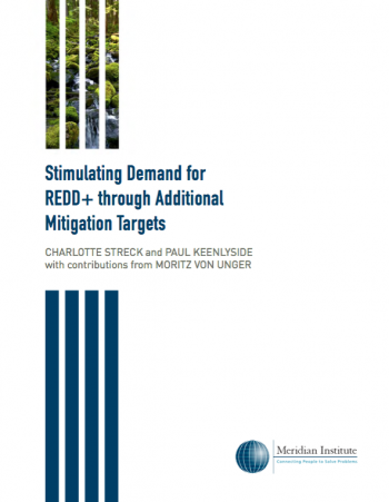 Stimulating Demand for REDD+ through Additional Mitigation Targets