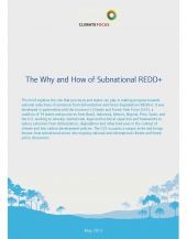 The Why and How of Subnational REDD+