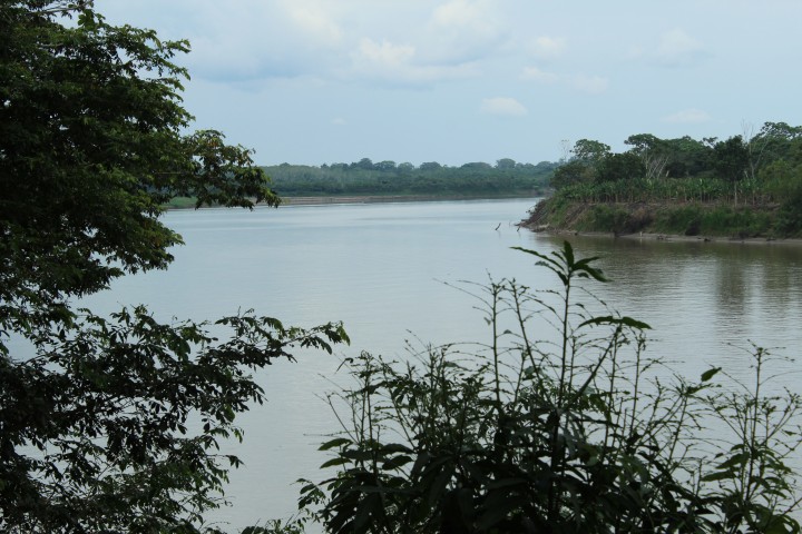 Platform of Information and Dialogue for the Colombian Amazon