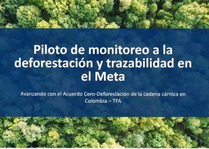 Overcoming barriers for implementing the Beef Zero-Deforestation Agreement in Colombia